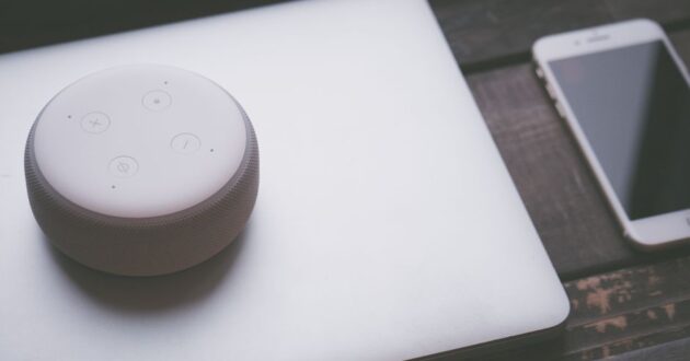 Best AI Voice Tools for Small Business Training Videos in 2026